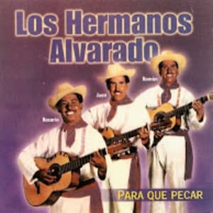 Los Hermanos Alvarado - Para Que Pecar (Volumen 5)