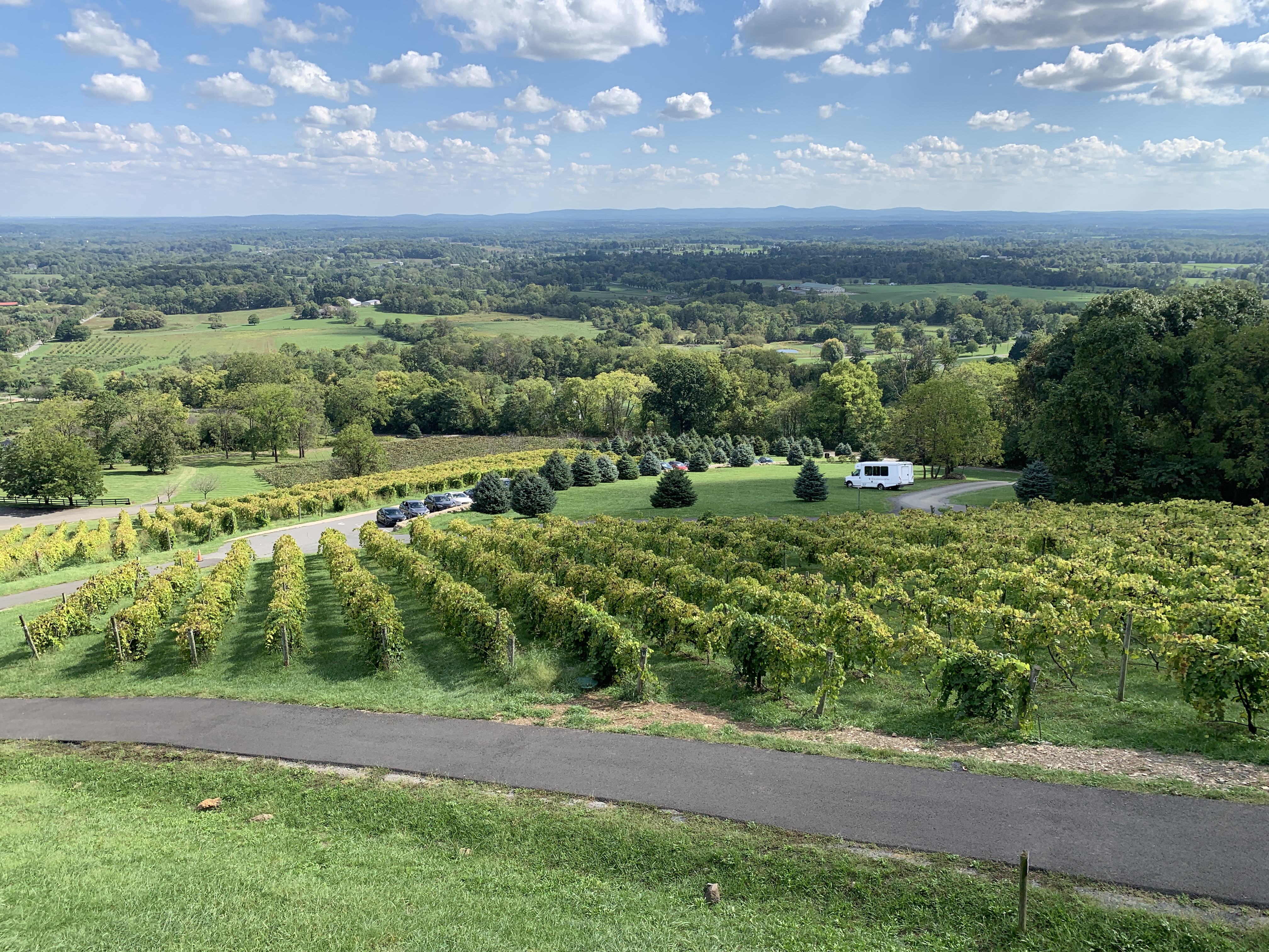 Panoramic view over a Virginia vineyard and the Blue Ridge landscape