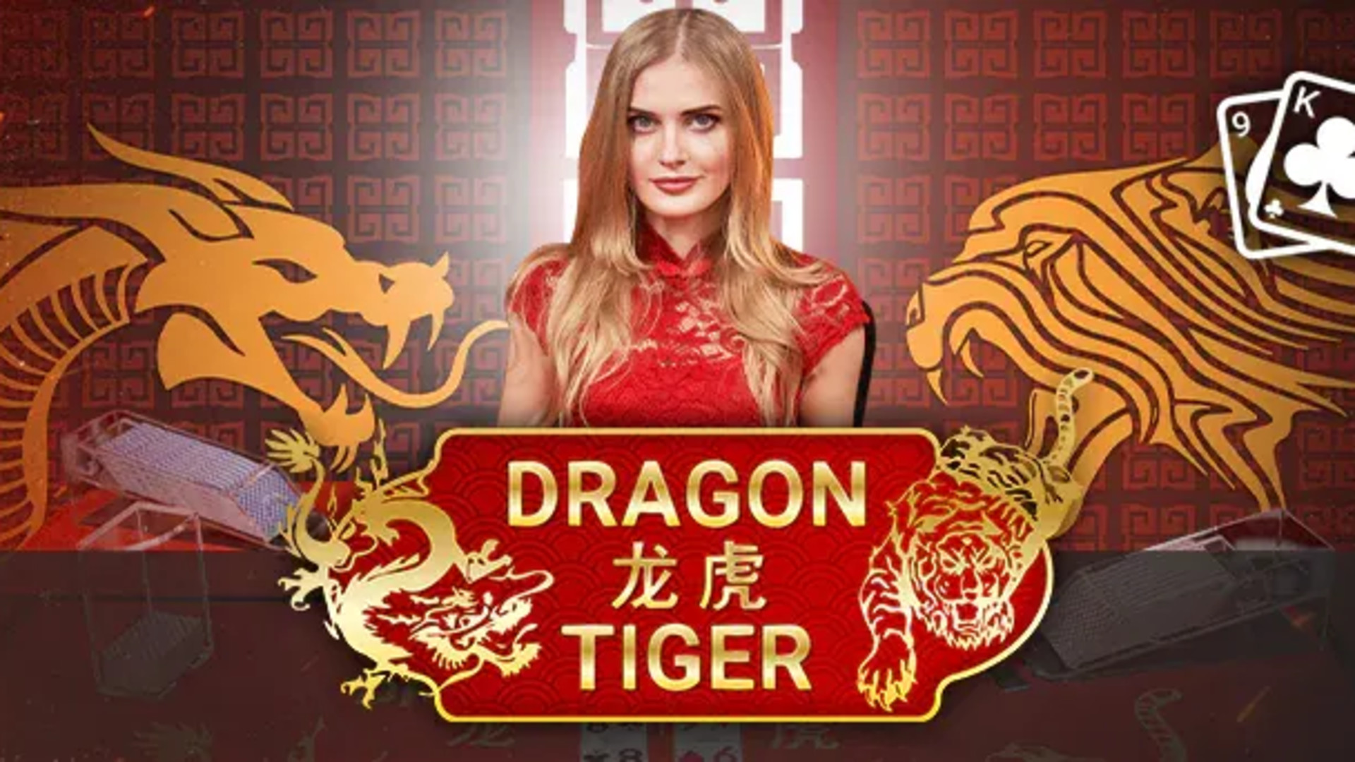 Live Dragon Tiger