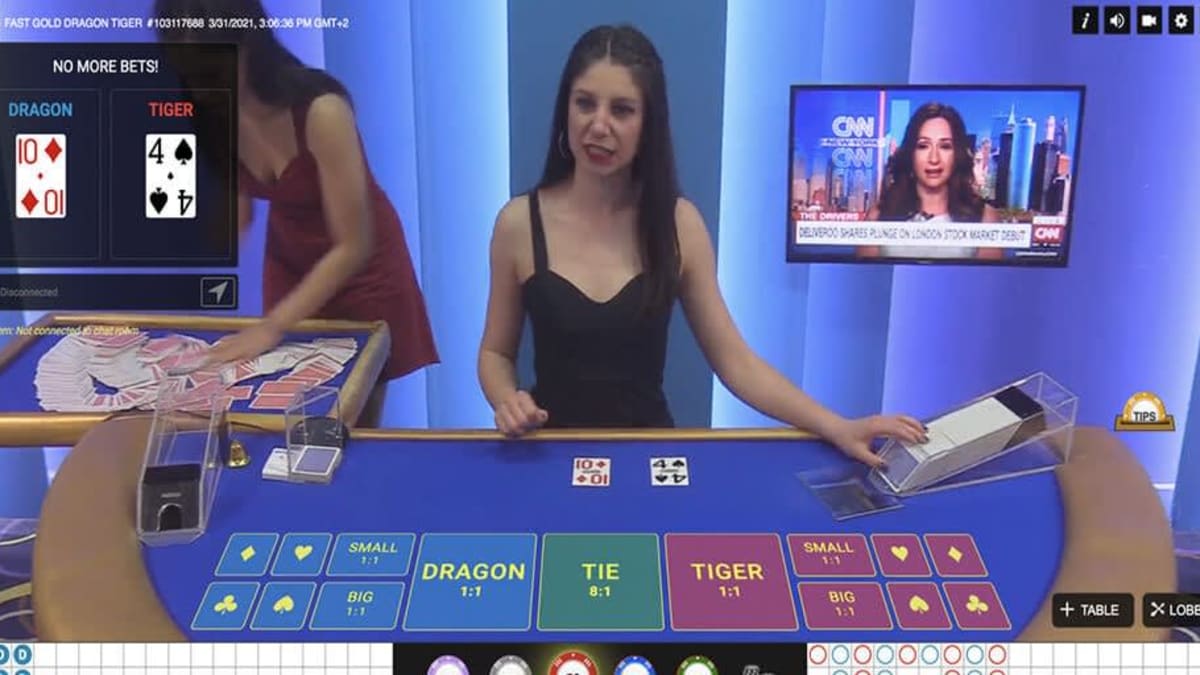 Live Dragon Tiger screenshot 3