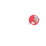 Koifortune