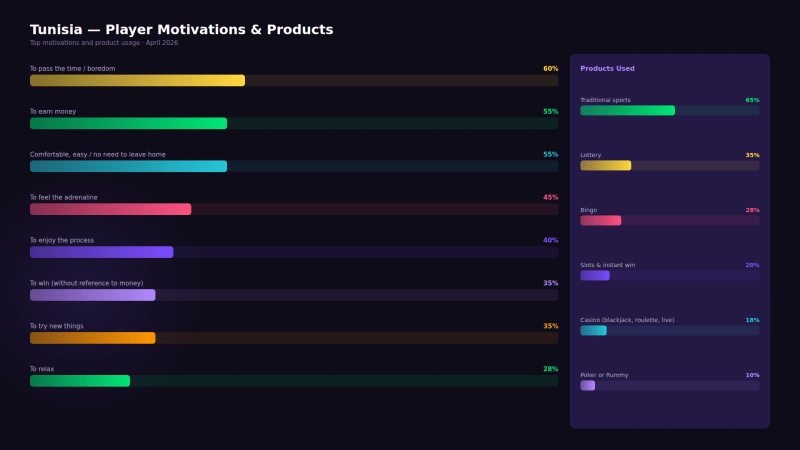 Tunisia Player Motivations and Product Usage