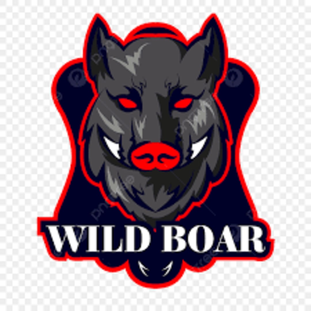 Wild Boars Gaming