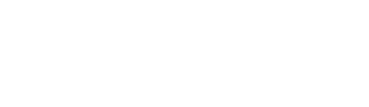 MintBingo Casino Review