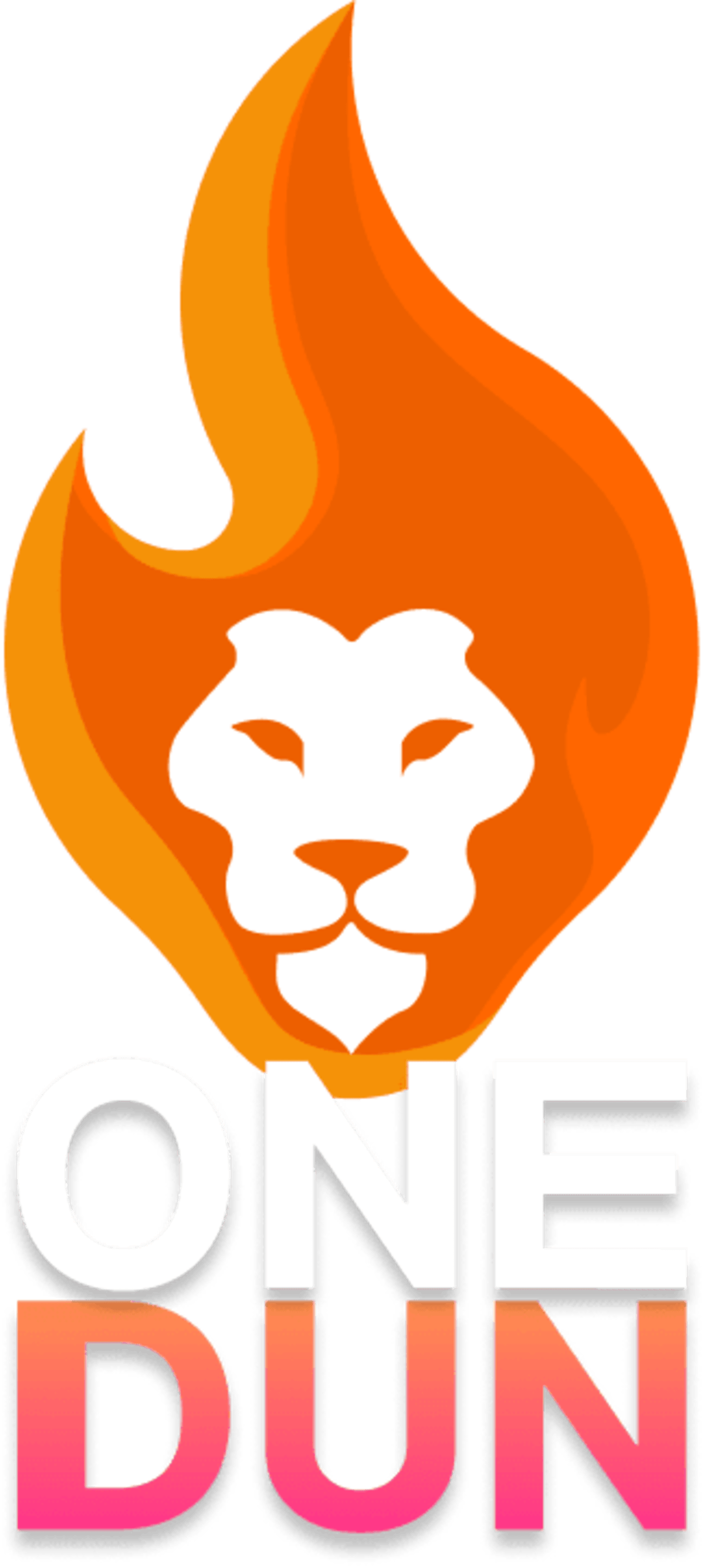 One Dun Casino Review