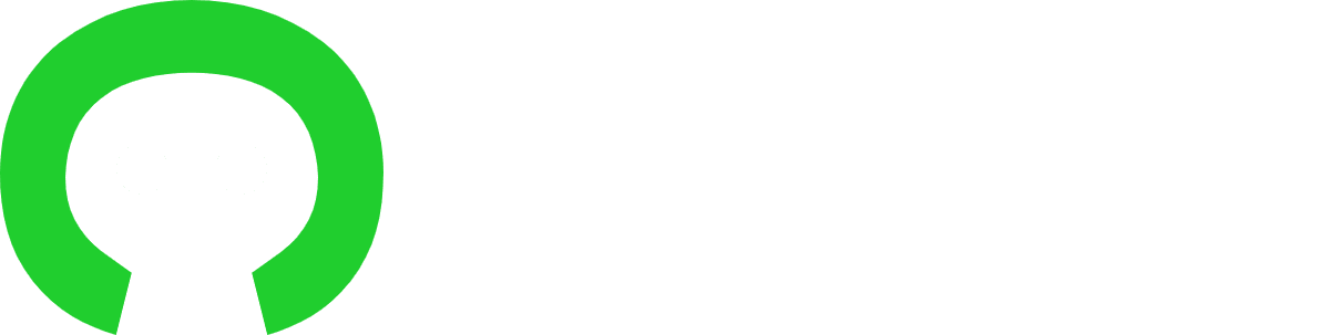 Cybet Review