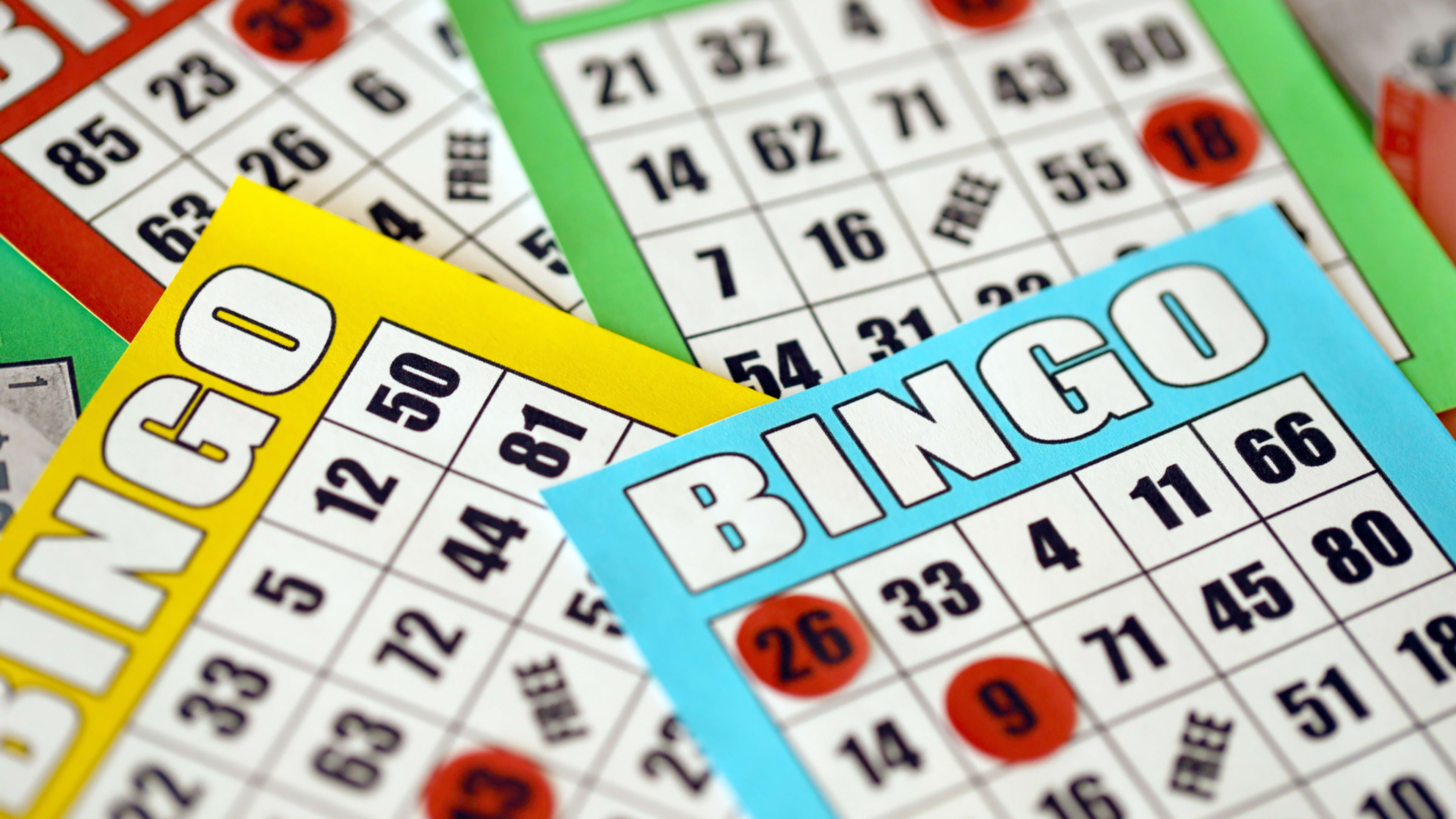 Impara a giocare a bingo online image