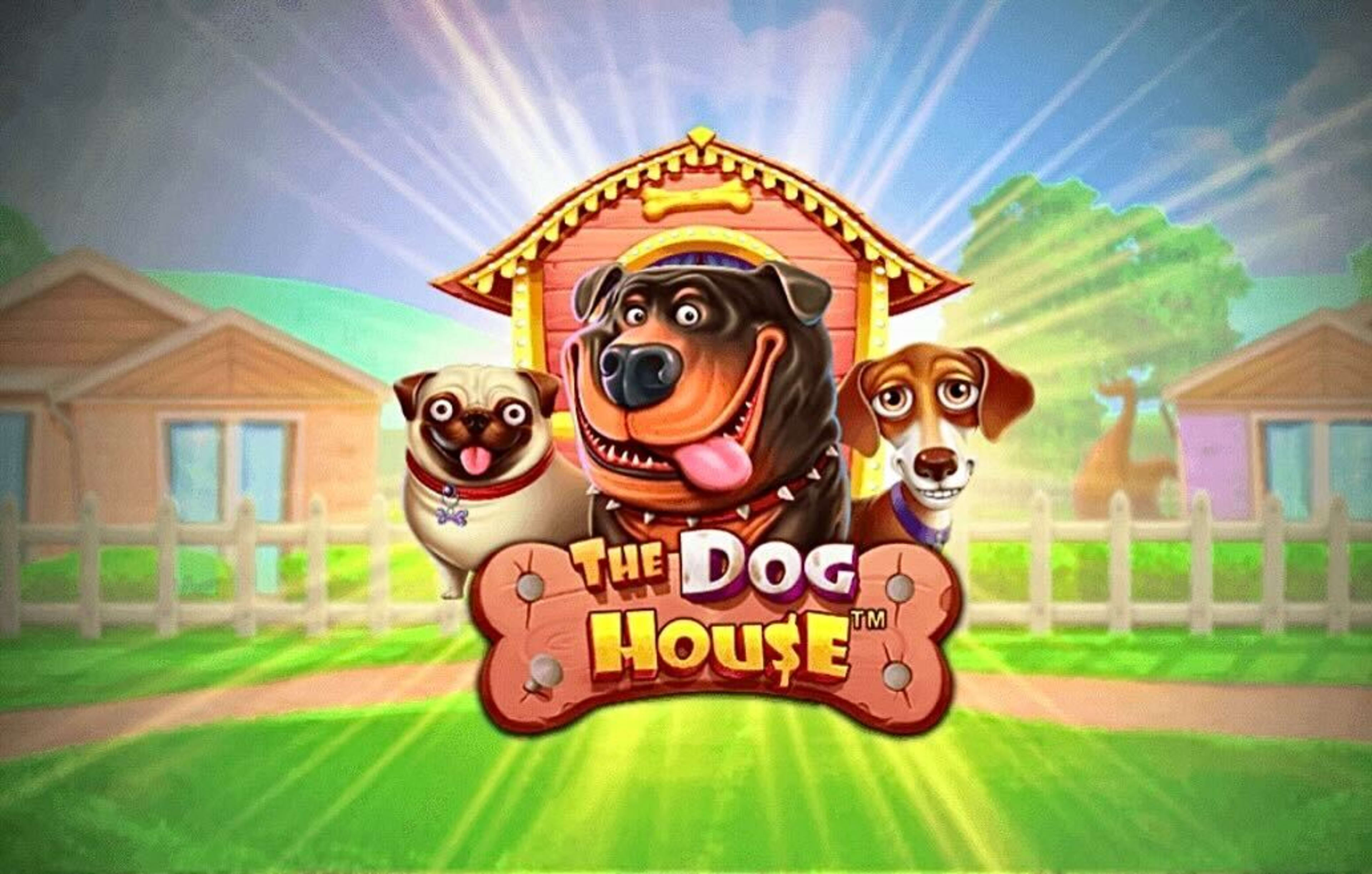 Dog House