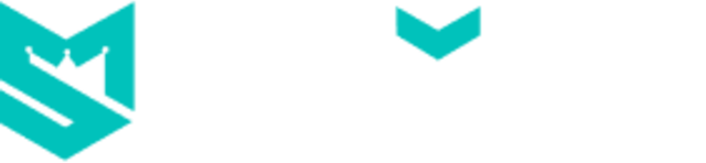Spinoli Logotype
