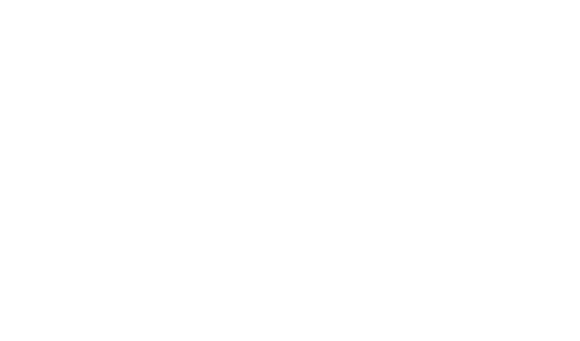 The National Revenue Agency