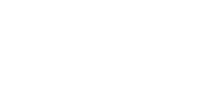 Association Solidarnost