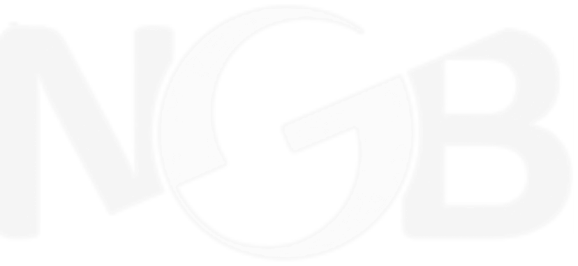 National Gambling Board (NGB)