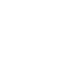 Spinch Logotype