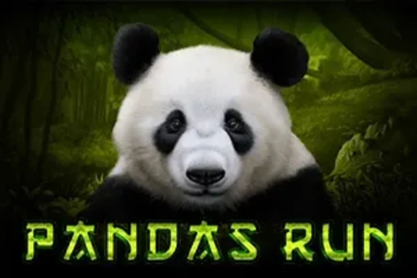 Pandas Run by Tom Horn Gaming - Demo & Top Casinos