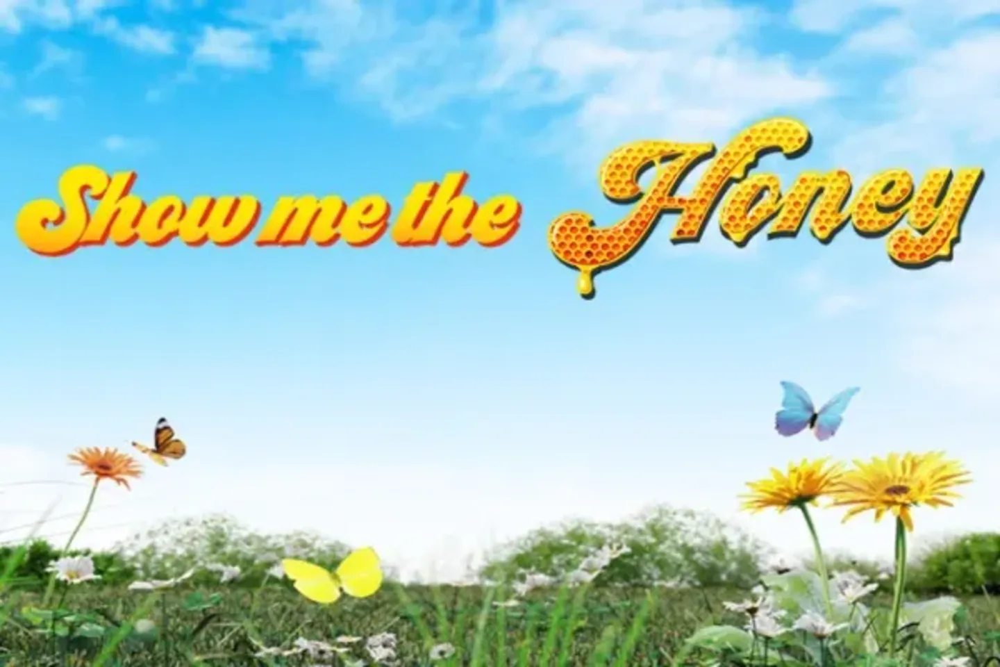 Topp Show Me The Honey kasinoer i 2026