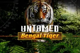 Untamed Bengal Tiger - Ukázka a recenze 2026