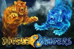 Double Tigers Demo i Recenzja 2026