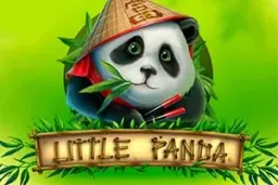 Little Panda - demonstracija ir apžvalga 2026