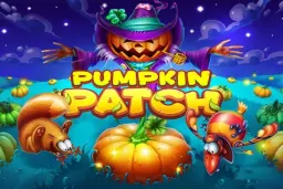 Pumpkin Patch by Habanero - Demo & Top Casinos