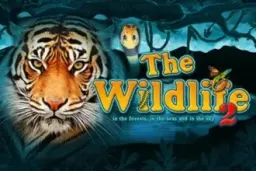 The Wildlife 2 by Belatra - Demo & Top Casinos