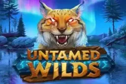 Untamed Wilds by Yggdrasil Gaming - Demo & Top Casinos