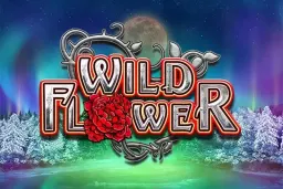 Wild Flower by Big Time Gaming - Demo & Top Casinos