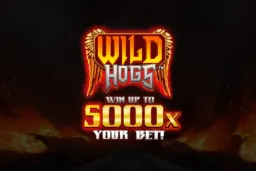 Wild Hogs - demo ja ülevaade 2026