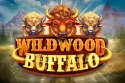 Wildwood Buffalo by Wizard Games - Demo & Top Casinos