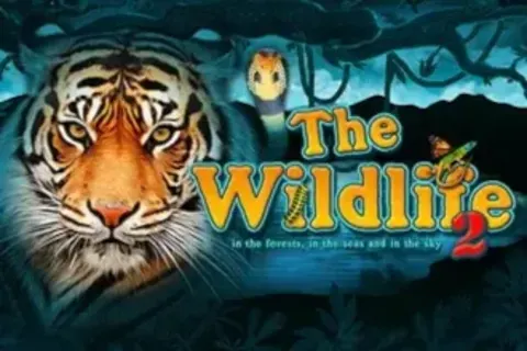 The Wildlife 2 by Belatra - Demo & Top Casinos