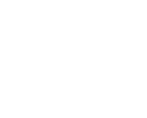NY Spins