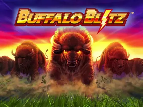 Bästa Buffalo Blitz Live-kasinon i 2026 | Playtech