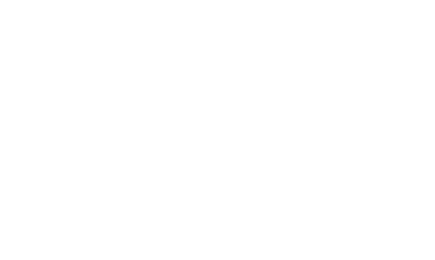 Vamos Bets