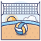 Volleyball