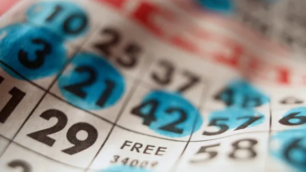 Todo sobre las tarjetas de bingo en línea y las llamadas
