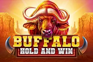 Buffalo Hold and Win