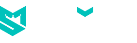 Spinoli logo
