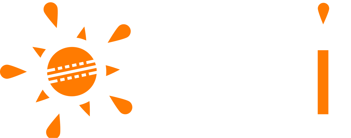 DESI logo