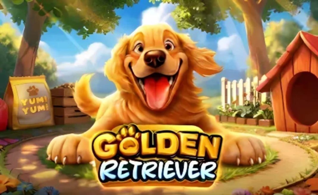 Golden retriver by pragmatic featured image