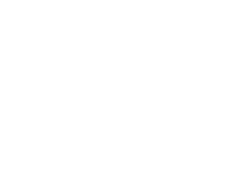 Skol Casino logo