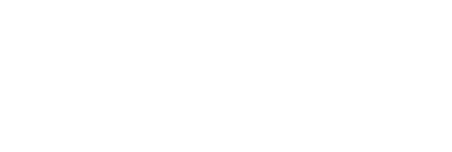 Twin logo
