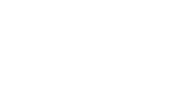 Wunderino logo