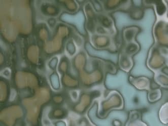 Ringmottles (ikke fusing)