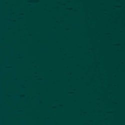 LAMBERTS 1307-F GRØNN TRAN 60X90CM 2,5-3,5MM