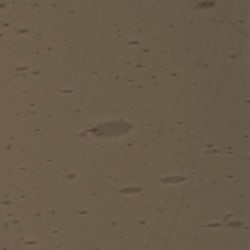 LAMBERTS 4119-F GRÅ TRANSP 90X60CM 2,5-3,5MM