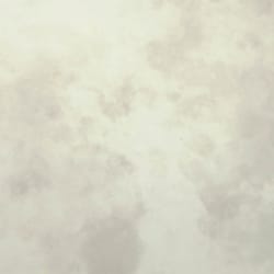 ANTIKKSPEIL APOLLO 4MM    245X125 CM