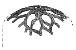 ODYSSEY KRONE FOR CHESTNUT (CR101) TIL ODYSSEY S12