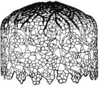 ODYSSEY PT APPLE BLOSSOMOM T347