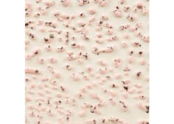 SPECKLED PINK CRAWLS P.GL.    473ML  1180-1240C