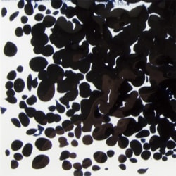 BLÅ SORT FRITTE GROV 2,27 KG