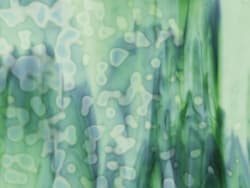 RING MOTTLE: MED SELLERI/SMARAGDGRØNN